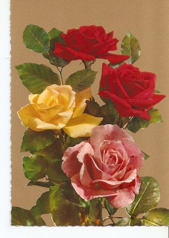 Postal 034937 : Rosas  