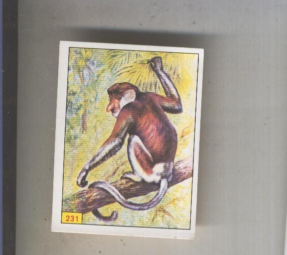 Cromo  Mamiferos de Panini numero 231