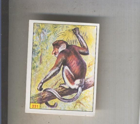 Cromo  Mamiferos de Panini numero 231