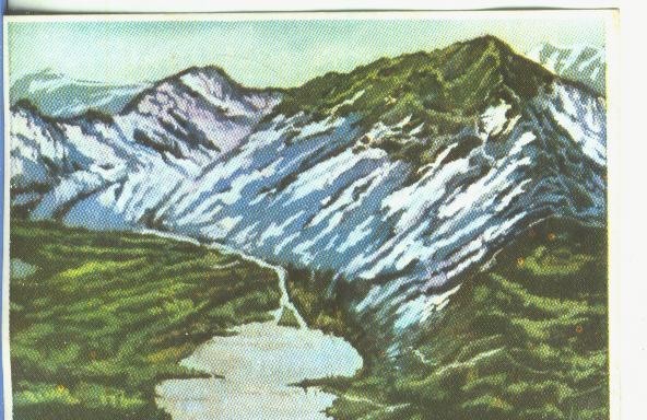 Cromos: Historia Natural numero 051