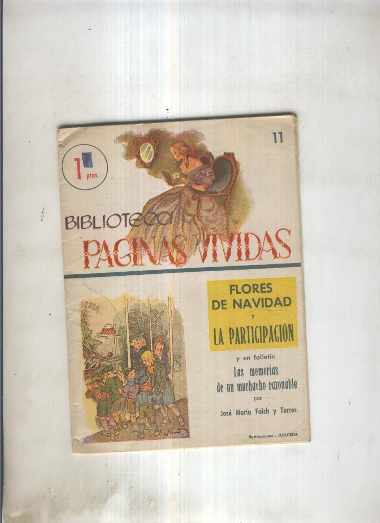 Flores de Navidad y La Participacion