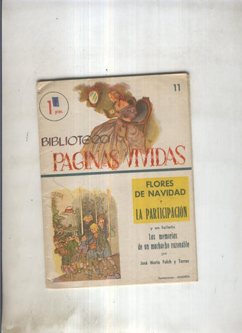 Flores de Navidad y La Participacion