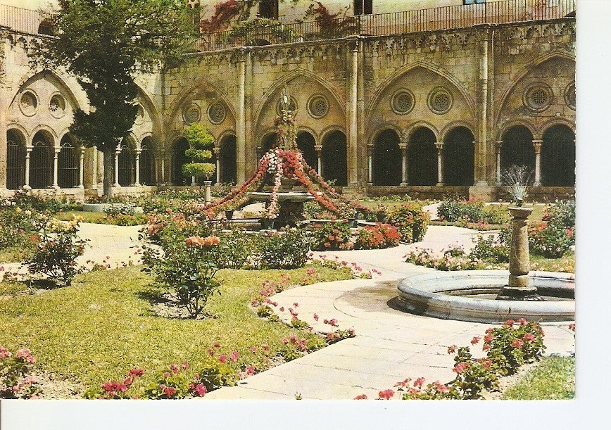 Postal 023816 : Claustro de la Catedral. Tarragona