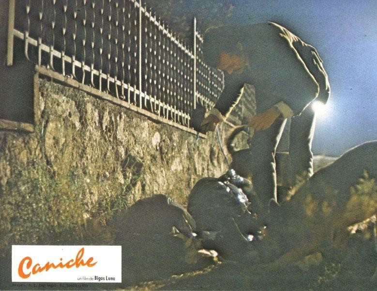 Caniche,  fotograma numero 08