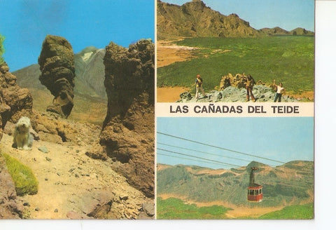 Postal 030486 : Las Cañadas del teide (Tenerife)