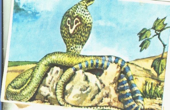 Cromos: Historia Natural numero 158