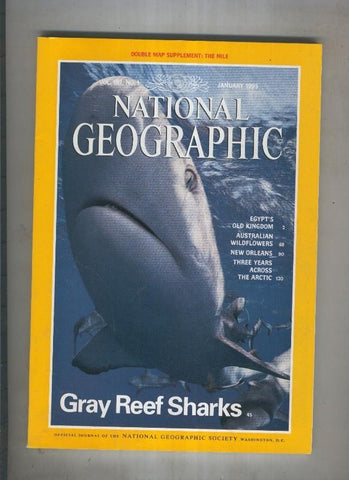 National geographic 1995 january: Gray reef sharks 