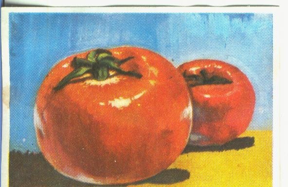 Cromos: Historia Natural numero 463