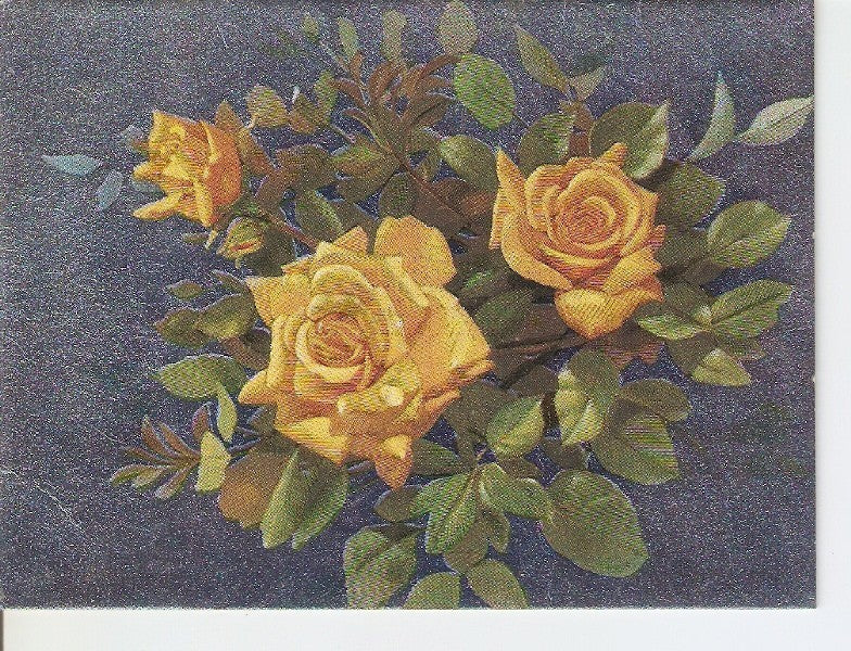 Postal 028718 : Dibujo de rosas amarillas