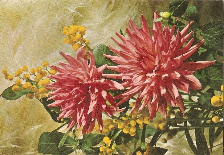 Postal 022393 : Flores