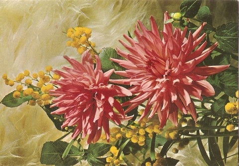 Postal 022393 : Flores
