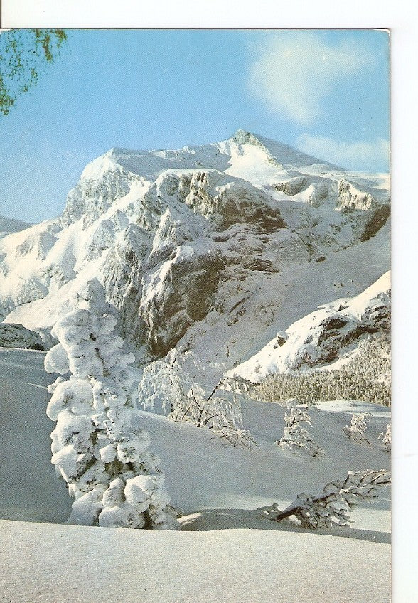 Postal 041394 : Canfranc-Candanchu. Estacion Invernal. Bosque de las Hayas