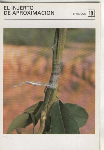 Postal-Ficha Jardineria numero 10: El injerto de aproximacion