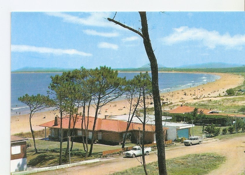 Postal 031795 : Uruguay. Punta Ballena. Portezuelo