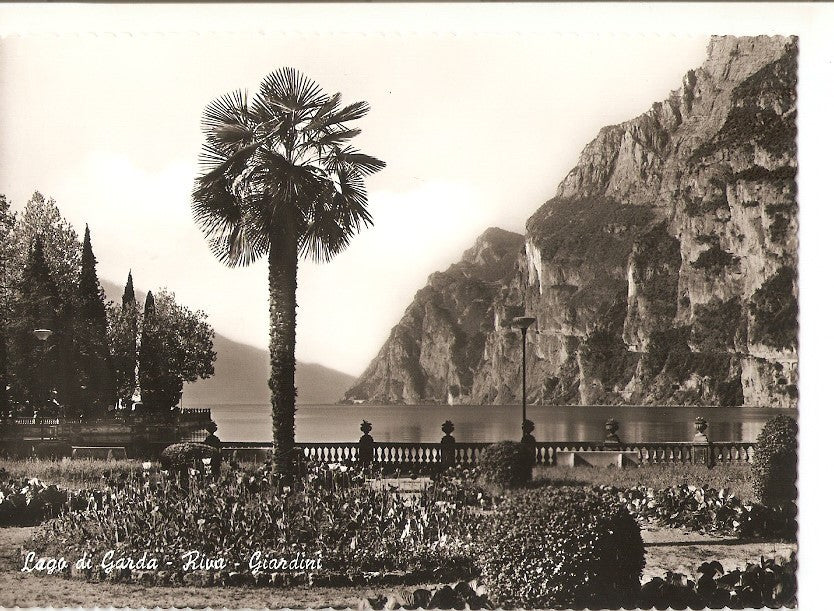 Postal 035910 : Lago di Garda - Riva. Giardini