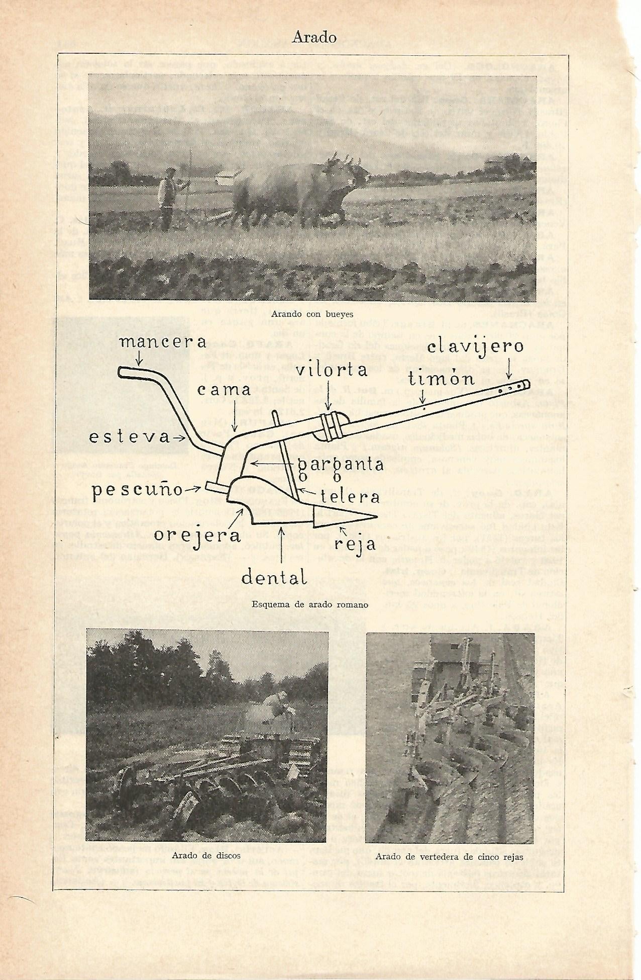 Lamina 030: Arado