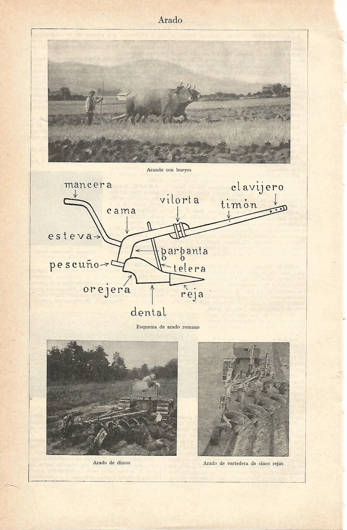 Lamina 030: Arado
