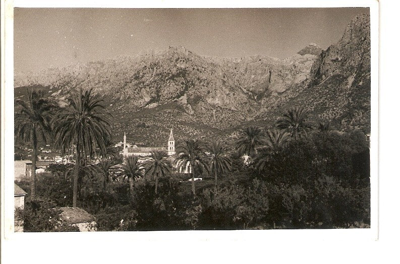 Postal 023134 : Soller, Vista parcial con el Puigmayor, Mallorca (Baleares)