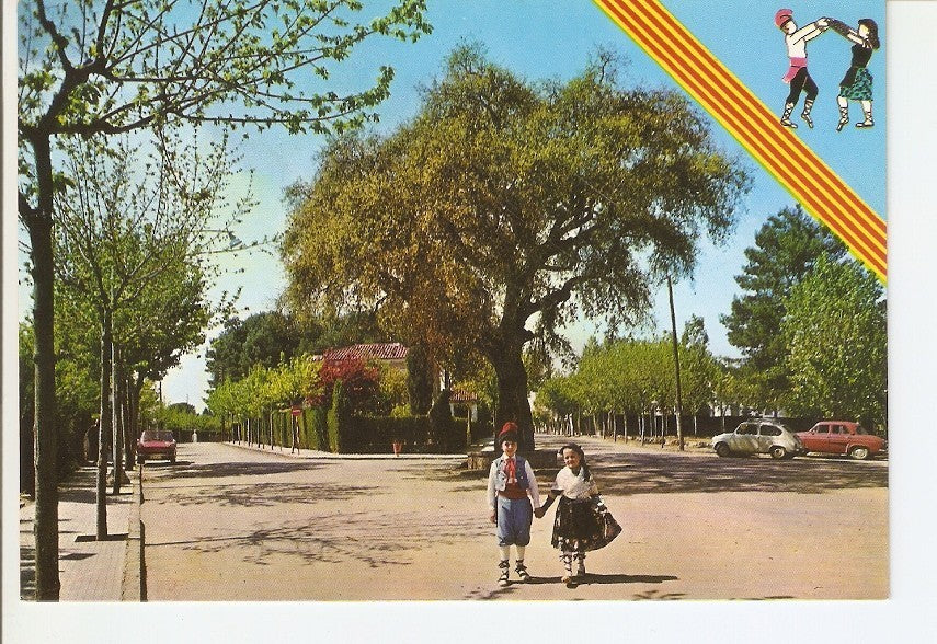 Postal 023246 : Encina centenaria, Sardanyola