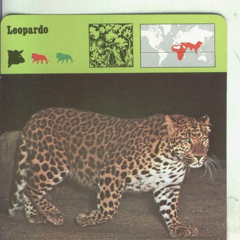 Postal: Ficha Sape Coleccionable: Leopardo