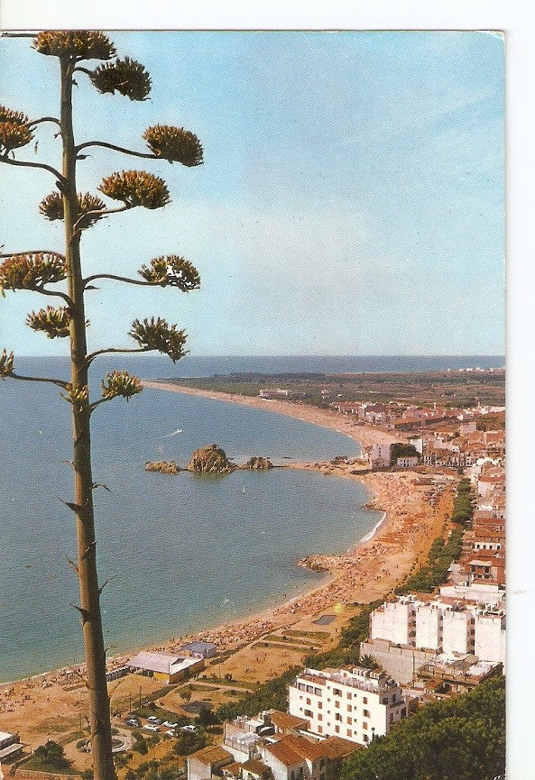 Postal 032877 : Blanes (Costa Brava). Vista general de su gran playa