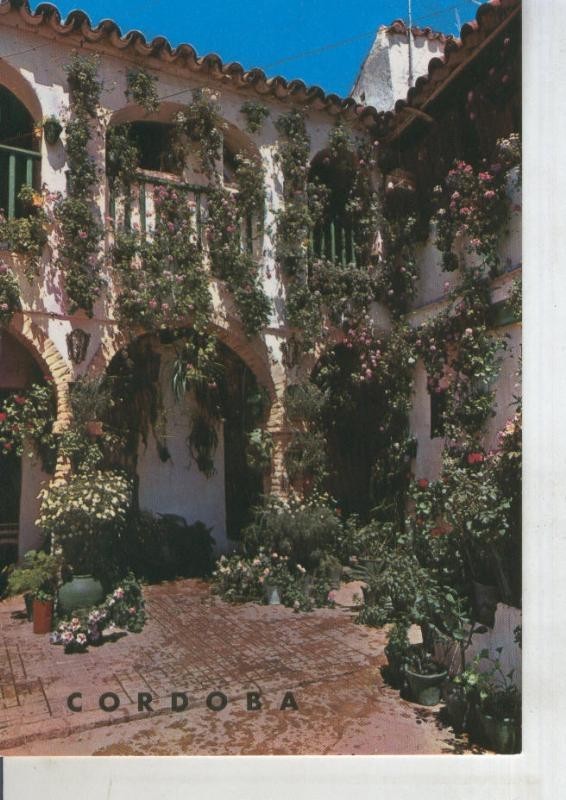Postal 011183: Patio tipico de Cordoba