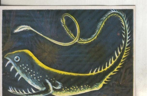 Cromos: Historia Natural numero 197