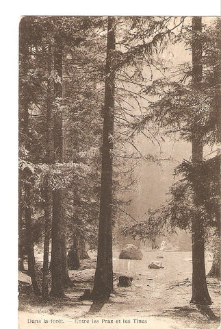 Postal 036211 : Dans la forêt - Entre les Praz et les Tines