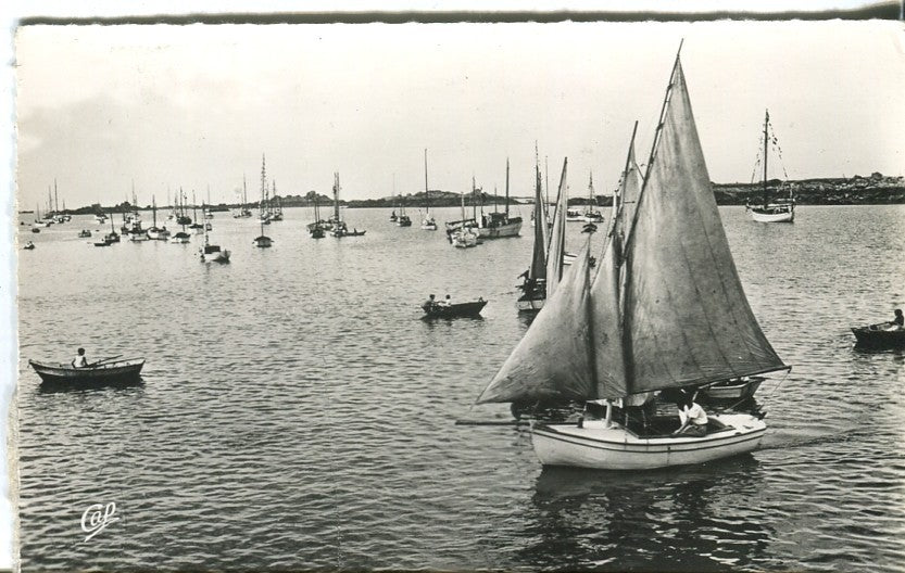 Postal-Postcard 17271: LUC-SUR-MER - Peits Bateaux