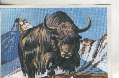 Cromos: Historia Natural numero 319