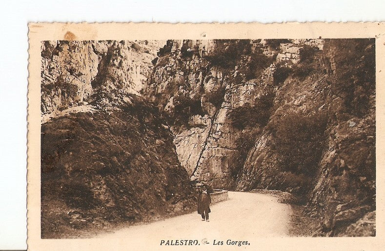 Postal 023124 : Palestro - Les Gorges