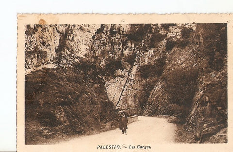 Postal 023124 : Palestro - Les Gorges