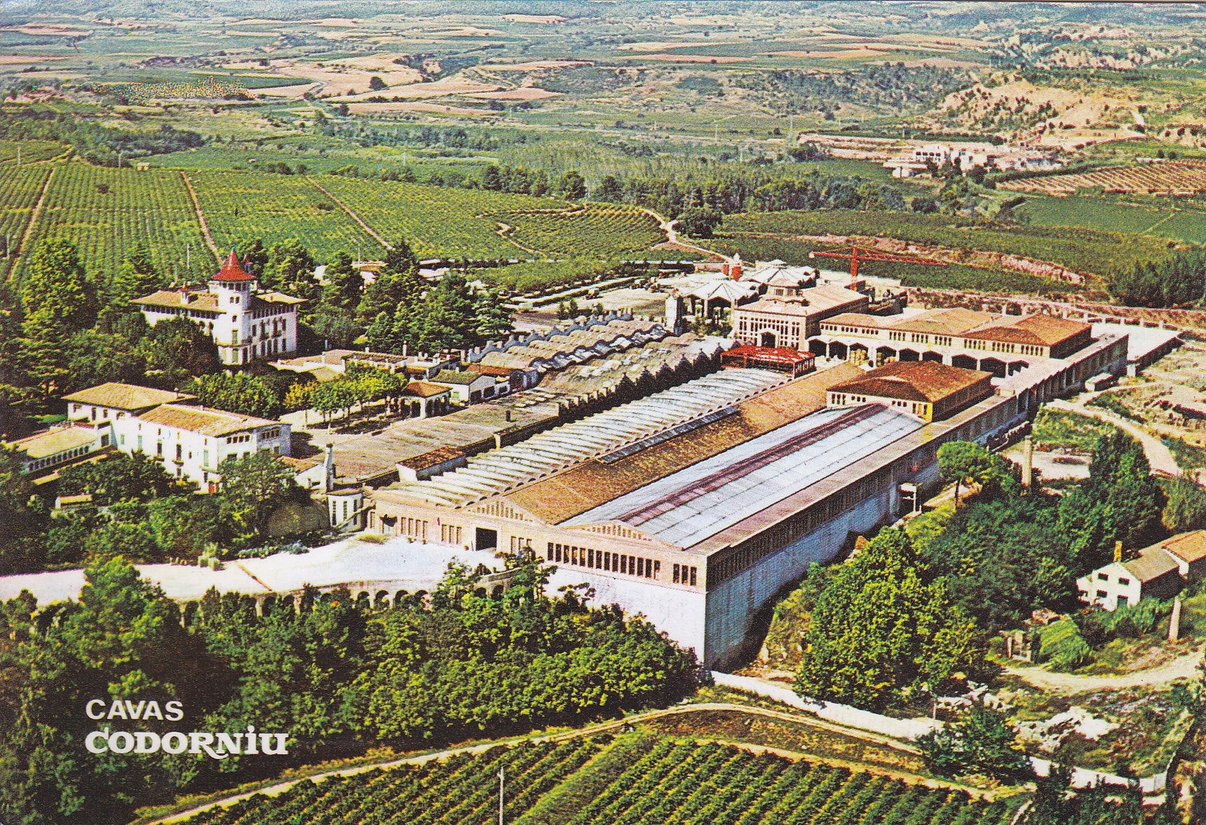 Postal 60848: Publicitaria Exteriores Cavas de Codorniu.
