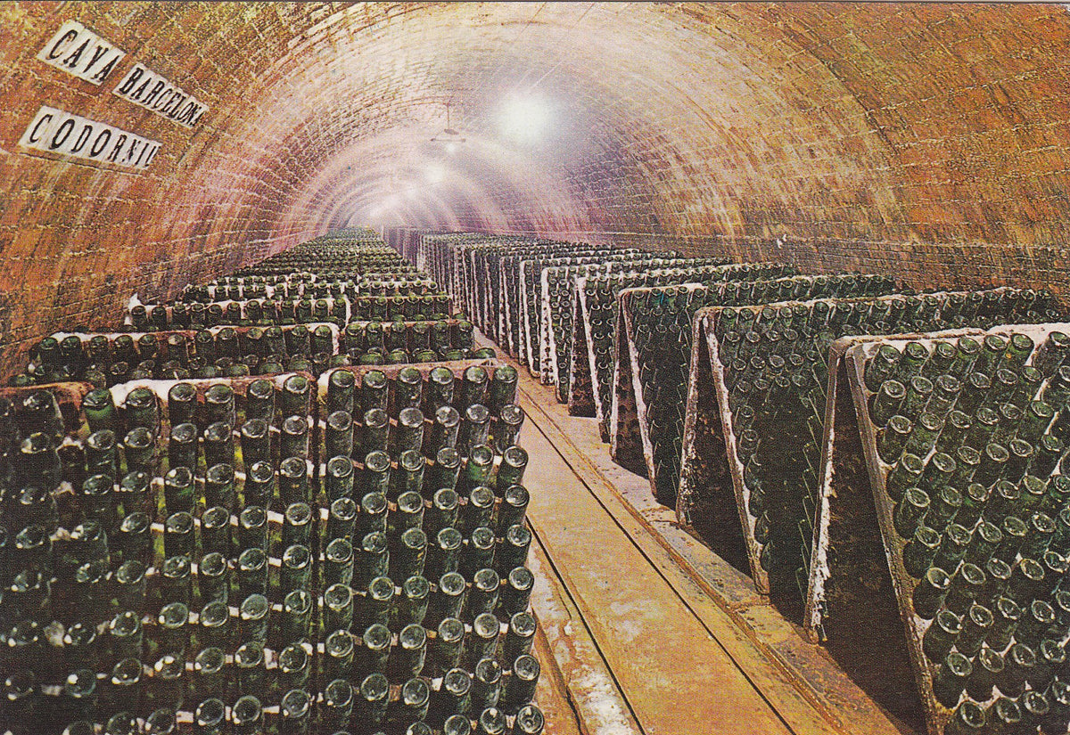 Postal 60853: Publicitaria. Botellas en pupitre. Cavas de Codorniu. 