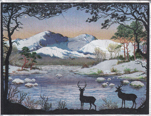 Postal 61050: Dibujo de ciervos en un lago