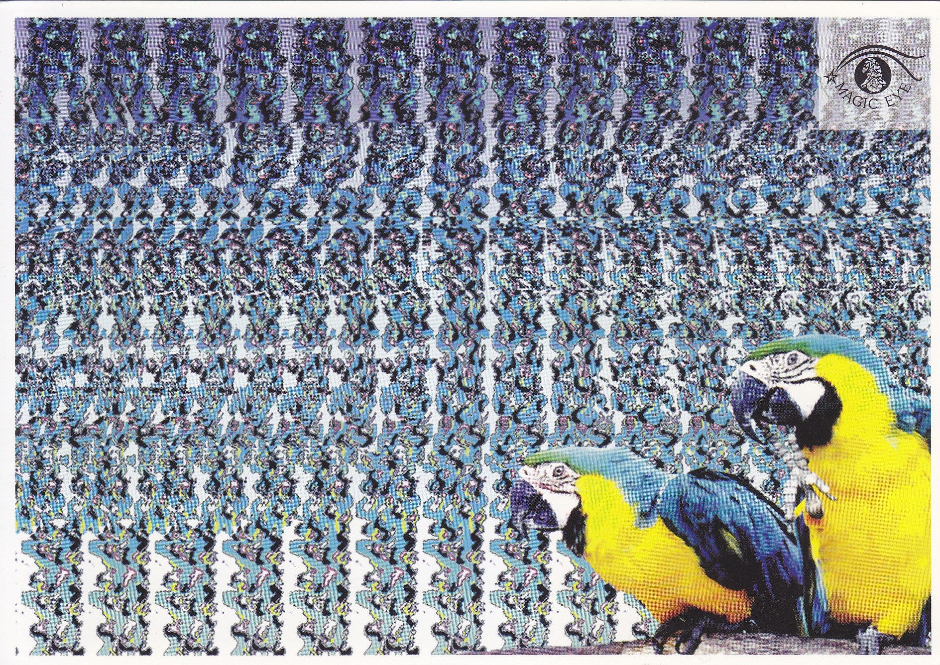 Postal 61051: Imagen oculta. Pajaros volando