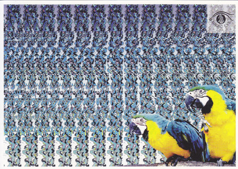 Postal 61051: Imagen oculta. Pajaros volando