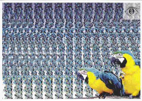 Postal 61087: Imagen oculta. Pajaros volando