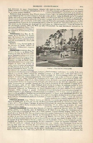 LAMINA ESPASA Alemania 3529: Ciudad jardin de Frohnau Alemania