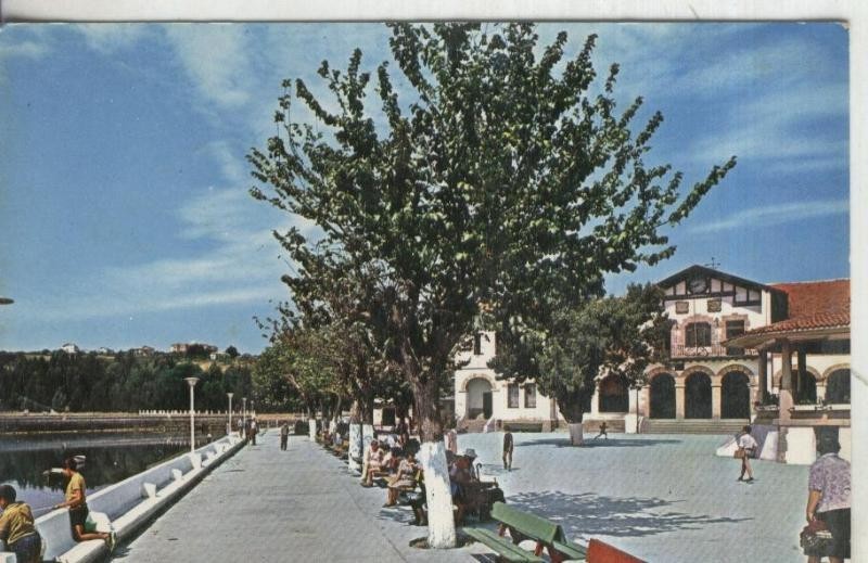 Postal 003382: Plencia: Plaza del Ayuntamiento