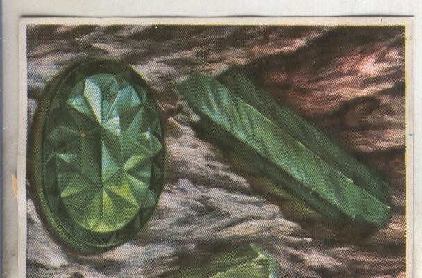 Cromos: Historia Natural numero 074
