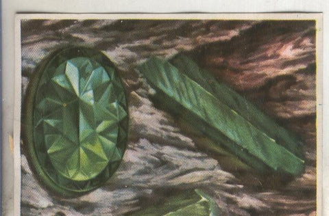 Cromos: Historia Natural numero 074