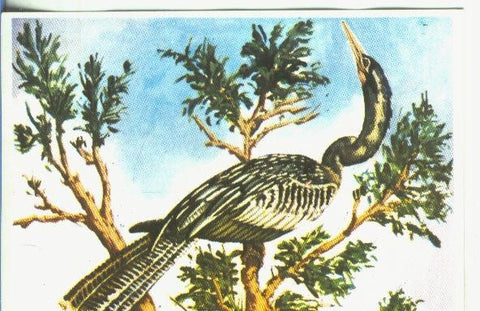 Cromos: Historia Natural numero 365