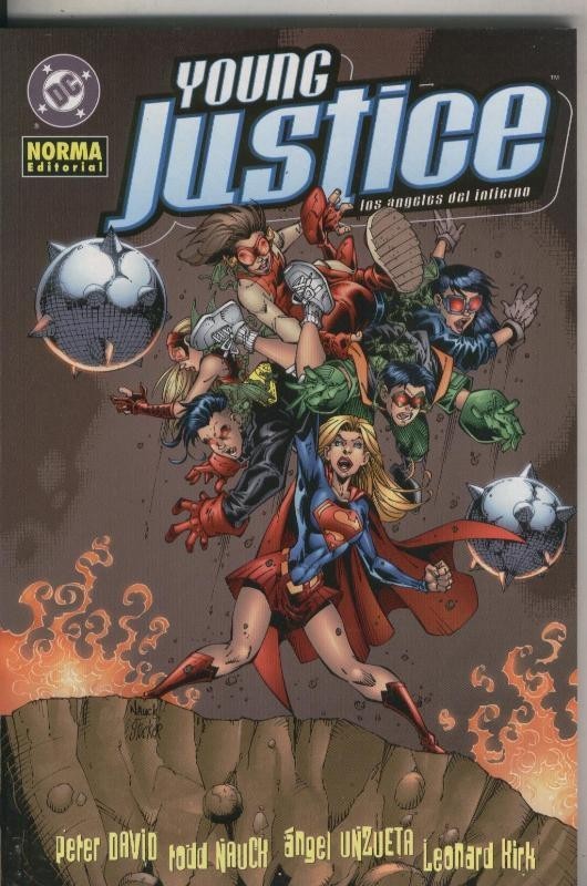Young Justice: los angeles del infierno