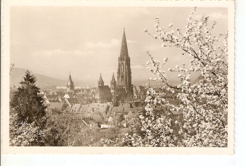 Postal 035997 : Freiburg/Schwarzwald
