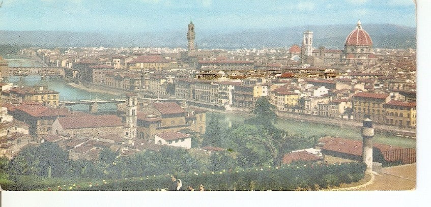 Postal 034220 : Firenze. panorama