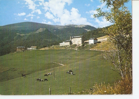 Postal 041656 : La Molina. Hoteles Molina y UEC con sus prados