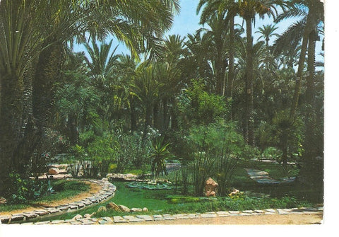 Postal 024984 : Huerta del Cura. Estanque tropical. Elche