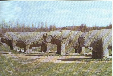 Postal: Arte Prehistorico modelo 14