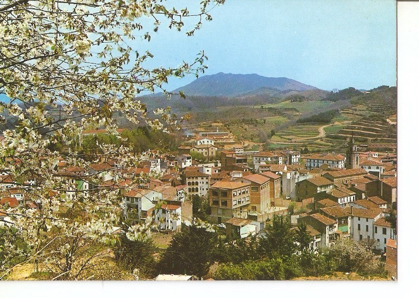 Postal 037216 : San Hilario Sacalm. Vista parcial